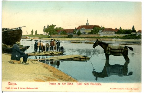 07935-Riesa-1906-Elbblick nach Promnitz - Pferdewäsche-Brück & Sohn Kunstverlag
