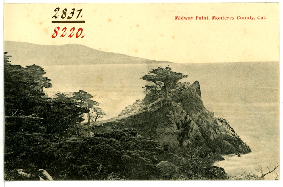 08220-Monterey County-1906-Midway Point, Monterey County-Brück & Sohn Kunstverlag