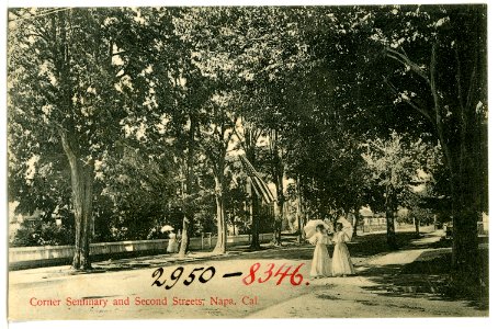 08346-Napa, Cal.-1906-Corner Seminary and Second Streets-Brück & Sohn Kunstverlag