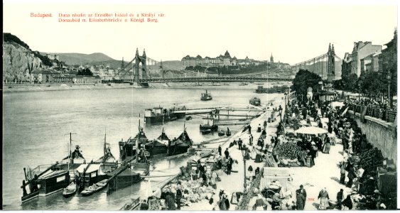 07981-Budapest-1906-Donaubild mit Elisabethbrücke und Königliche Burg-Brück & Sohn Kunstverlag