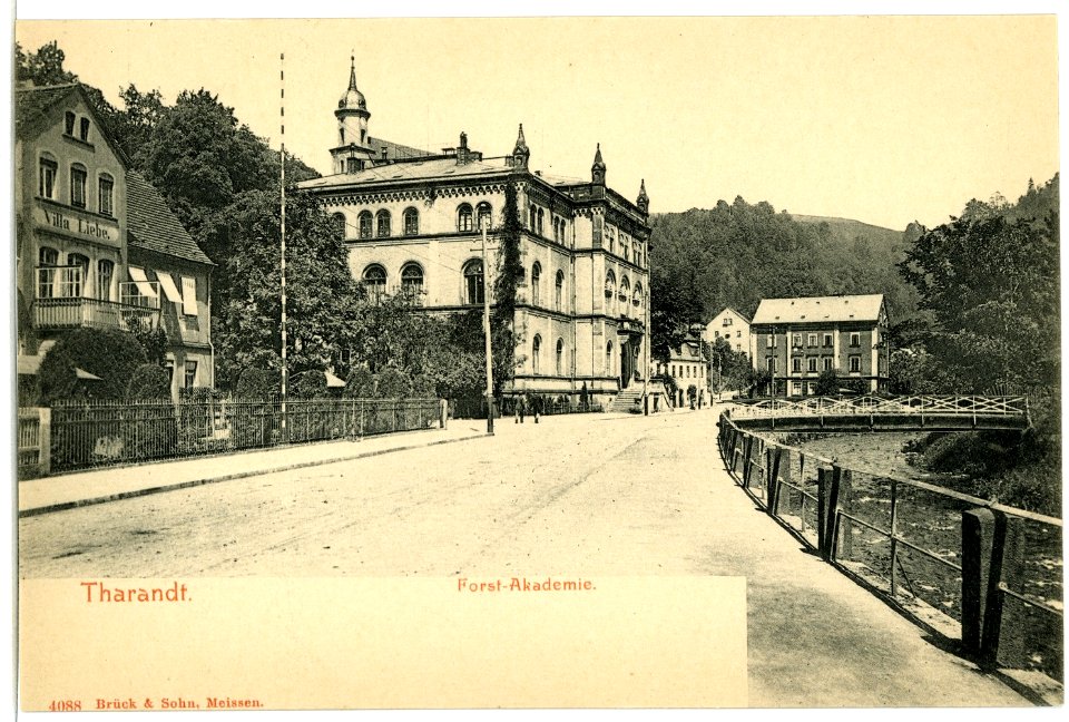 04088-Tharandt-1903-Forst Akademie-Brück & Sohn Kunstverlag