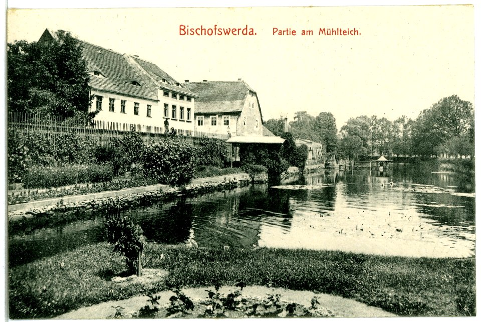 04154-Bischofswerda-1903-am Mühlteich-Brück & Sohn Kunstverlag