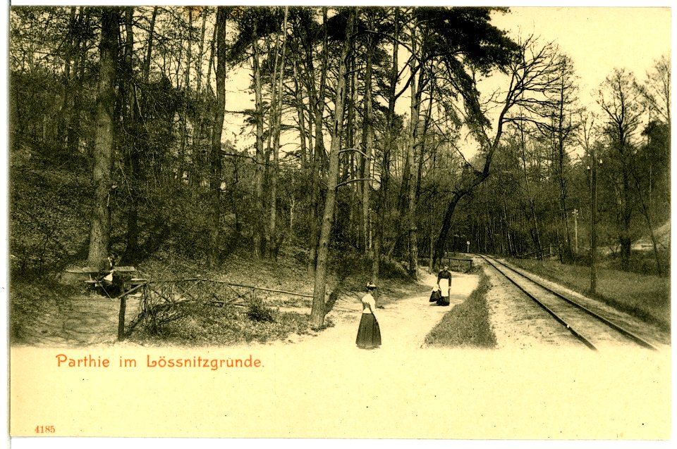 04185-Radebeul-1903-im Lößnitzgrund-Brück & Sohn Kunstverlag