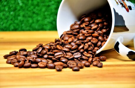 Beans coffee roasted