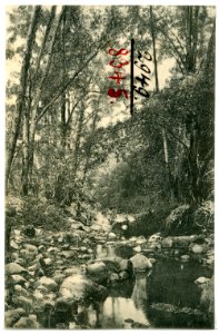 08345-Napa, Cal.-1906-Dry Creek-Brück & Sohn Kunstverlag