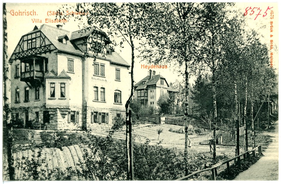 08575-Gohrisch-1907-Villa Elisabeth, Heydehaus-Brück & Sohn Kunstverlag