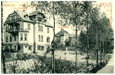 08575-Gohrisch-1907-Villa Elisabeth, Heydehaus-Brück & Sohn Kunstverlag