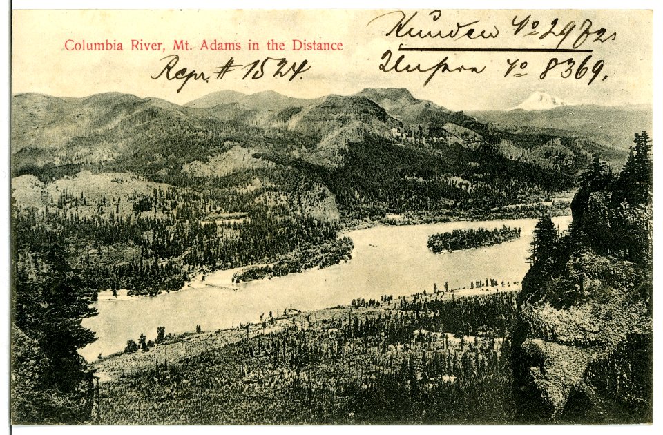 08369-Oregon-1906-Columbia River, Mt. Adams in the Distance-Brück & Sohn Kunstverlag