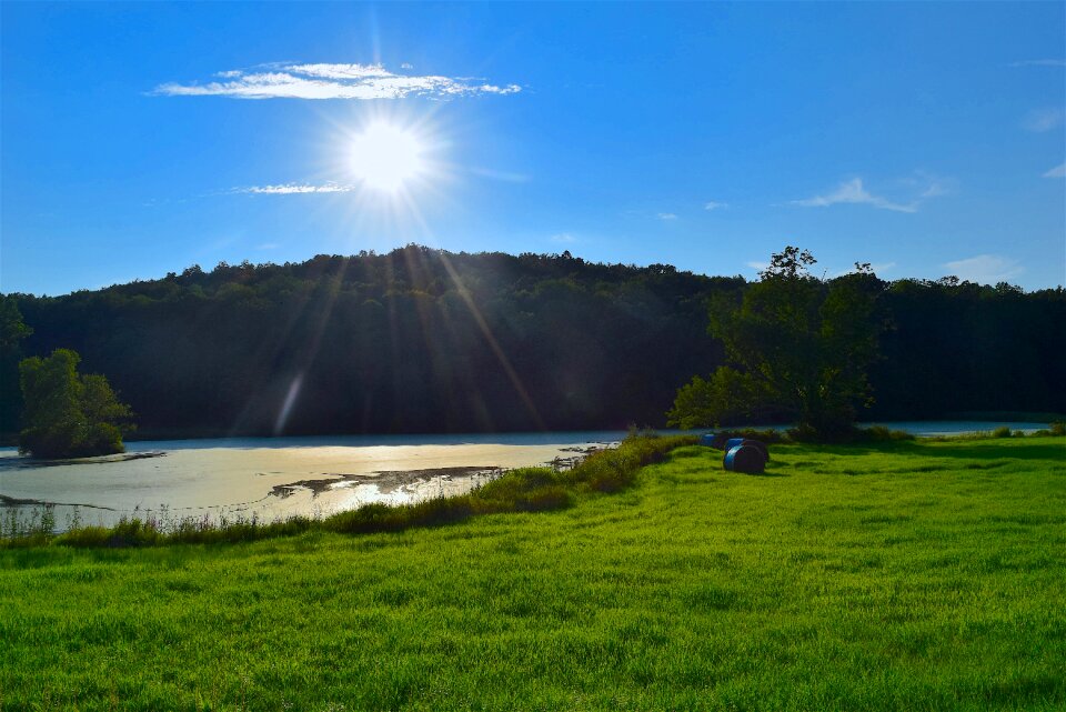 Grass green blue photo