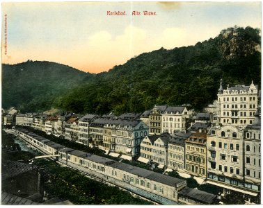 08619-Karlsbad-1907-Alte Wiese-Brück & Sohn Kunstverlag