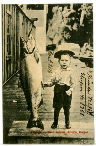 08361-Astoria-1906-A Columbia River Salmon, Astoria, Oregon-Brück & Sohn Kunstverlag