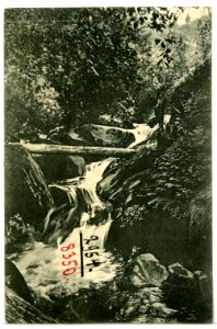 08350-Ashland, Ore.-1906-Ashland Creek Canyon-Brück & Sohn Kunstverlag