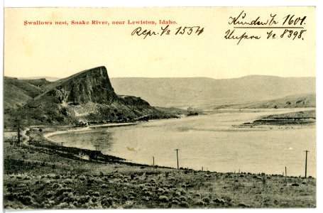 08398-Lewiston, Idaho-1906-Swallows nest, Snake River, near Lewiston-Brück & Sohn Kunstverlag photo
