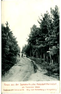 04249-Hetzdorf-Herrndorf-1903-Weg an der Schneise 18-Brück & Sohn Kunstverlag
