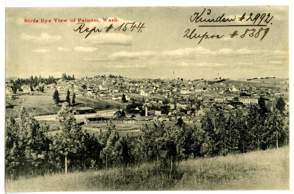 08389-Palouse, Wash.-1906-Birds Eye View of Palouse-Brück & Sohn Kunstverlag