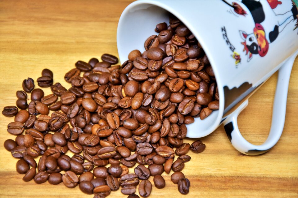 Beans coffee roasted