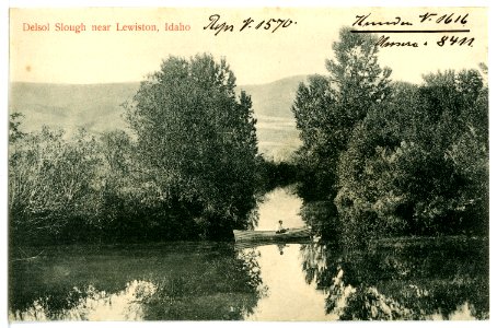 08411-Lewiston, Idaho-1906-Delsol Slough-Brück & Sohn Kunstverlag photo