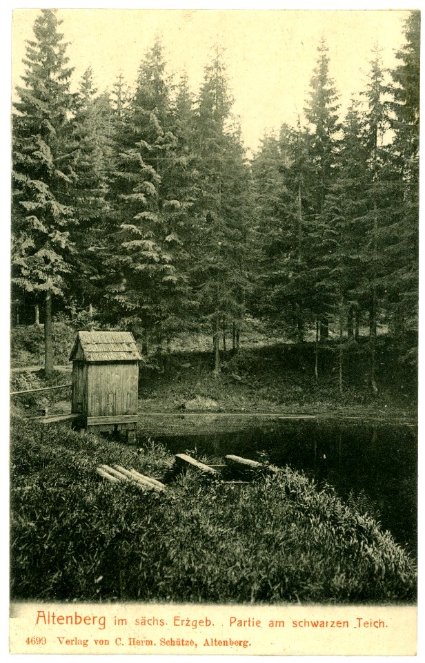 04699-Altenberg-1903-Am schwarzen Teich-Brück & Sohn Kunstverlag