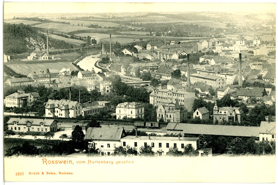 04207-Roßwein-1903-Blick vom Hartenberg auf die Stadt-Brück & Sohn Kunstverlag