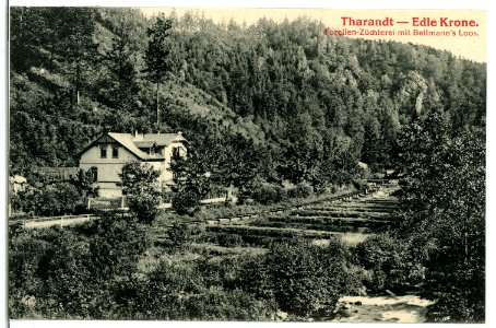 04522-Tharandt-1903-Edle Krone mit Forellenzüchterei-Brück & Sohn Kunstverlag