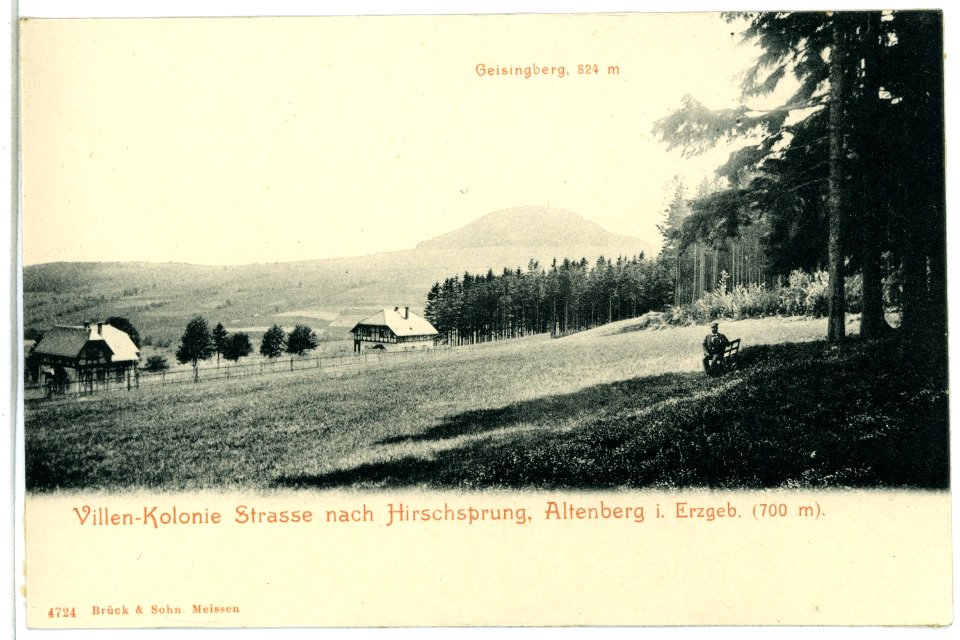 04724-Altenberg-1903-Villen Kolonie, Geisingberg-Brück & Sohn Kunstverlag