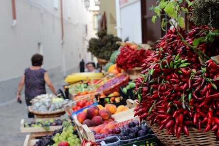 Country apulia holiday photo