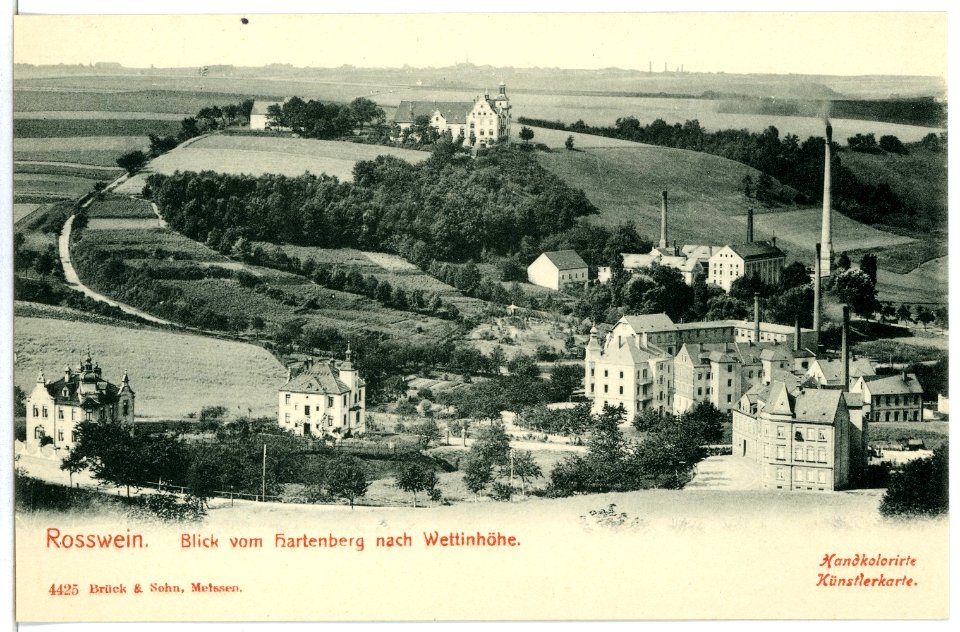 04425-Roßwein-1903-Blick vom Hartenberg nach Wettinhöhe-Brück & Sohn Kunstverlag