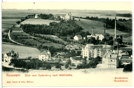 04425-Roßwein-1903-Blick vom Hartenberg nach Wettinhöhe-Brück & Sohn Kunstverlag