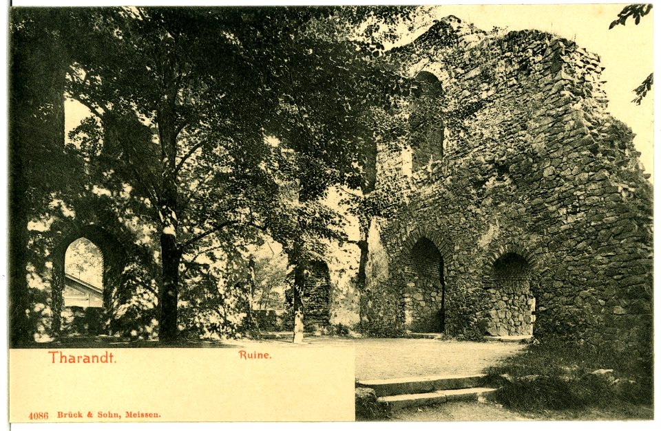 04086-Tharandt-1903-Ruine-Brück & Sohn Kunstverlag