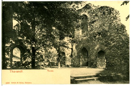 04086-Tharandt-1903-Ruine-Brück & Sohn Kunstverlag
