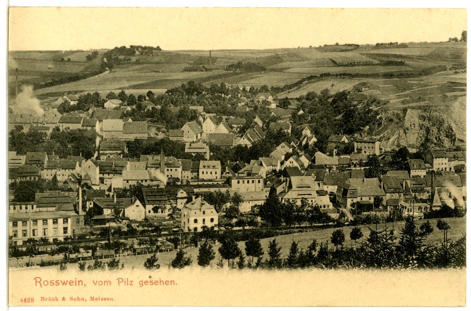04428-Roßwein-1903-Blick vom Pilz auf Roßwein-Brück & Sohn Kunstverlag