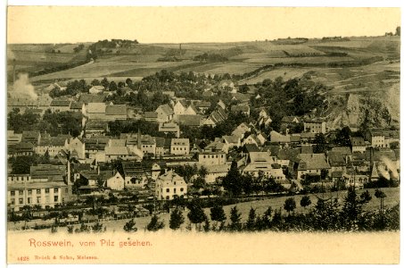 04428-Roßwein-1903-Blick vom Pilz auf Roßwein-Brück & Sohn Kunstverlag