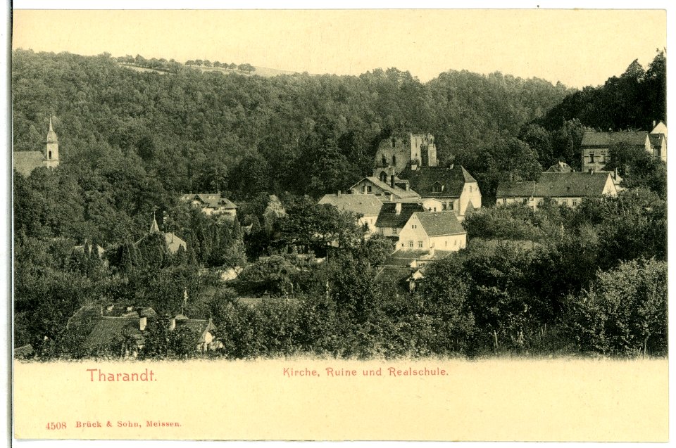 04508-Tharandt-1903-Kirche, Ruine, Realschule-Brück & Sohn Kunstverlag