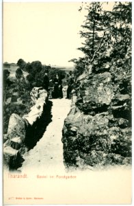 04077-Tharandt-1903-Bastei im Forstgarten-Brück & Sohn Kunstverlag