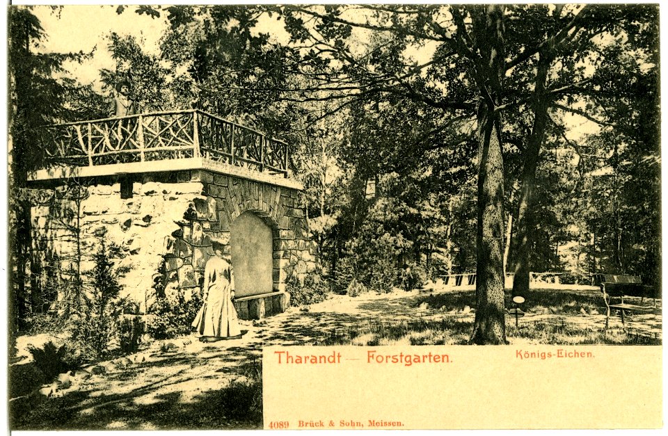 04089-Tharandt-1903-Forstgarten-Brück & Sohn Kunstverlag