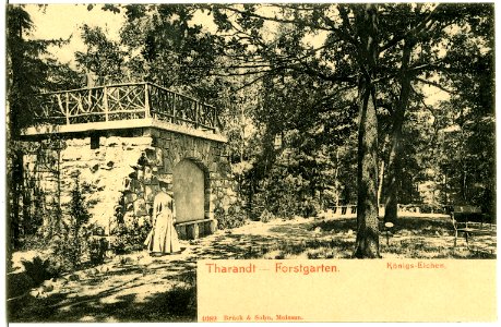 04089-Tharandt-1903-Forstgarten-Brück & Sohn Kunstverlag