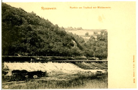04194-Roßwein-1903-am Thalbad mit Muldenwehr-Brück & Sohn Kunstverlag