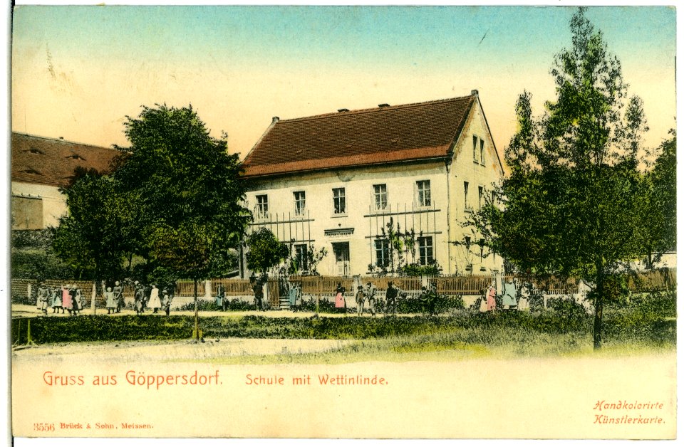 03556-Göppersdorf-1903-Schule mit Wettinlinde-Brück & Sohn Kunstverlag