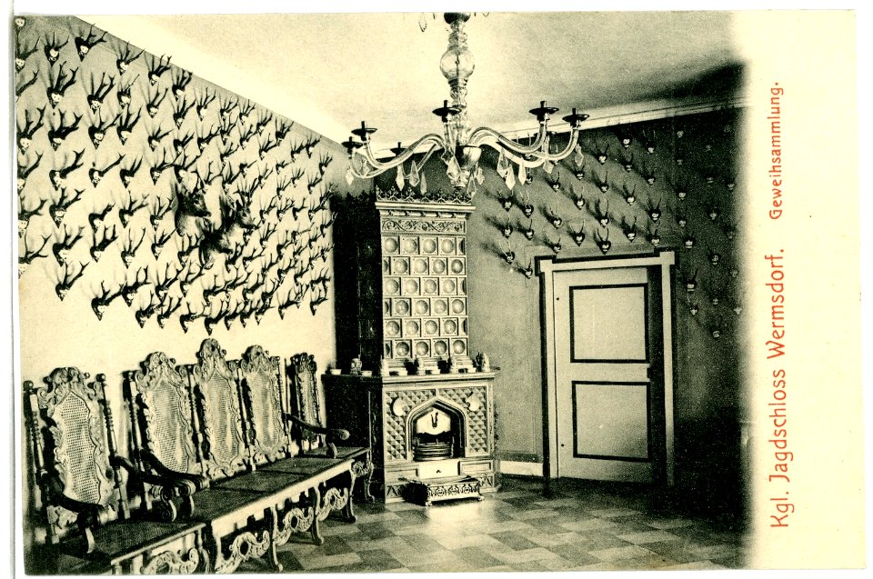 04370-Wermsdorf-1903-Jagdschloß, Geweihsammlung-Brück & Sohn Kunstverlag