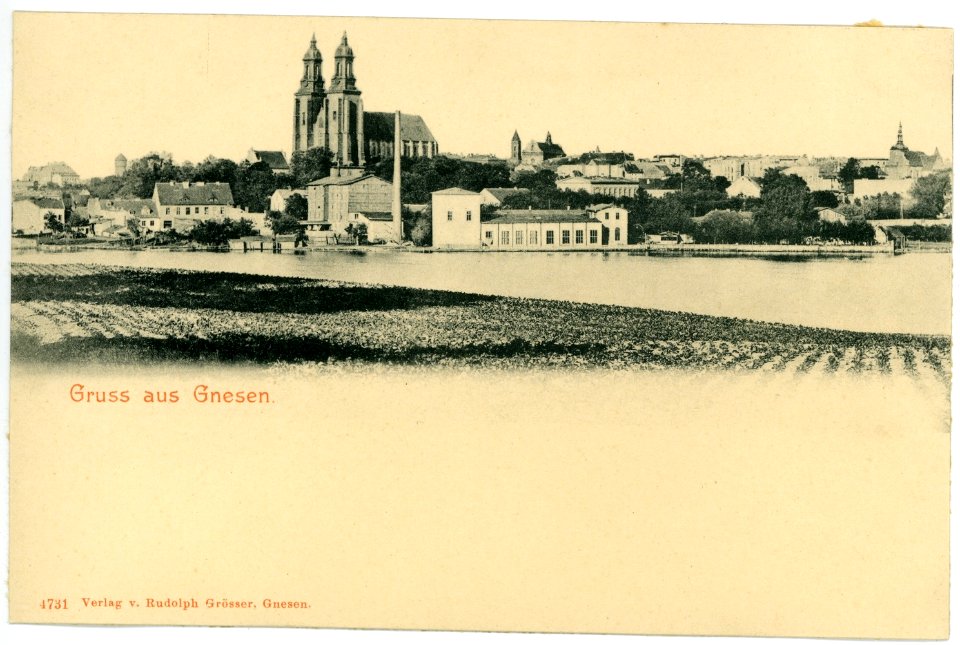 04731-Gnesen-1903-Blick auf Gnesen-Brück & Sohn Kunstverlag