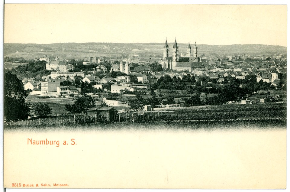 03515-Naumburg-1903-Blick über Naumburg-Brück & Sohn Kunstverlag