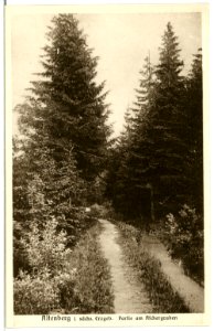 04700-Altenberg-1903-Am Aschergraben-Brück & Sohn Kunstverlag