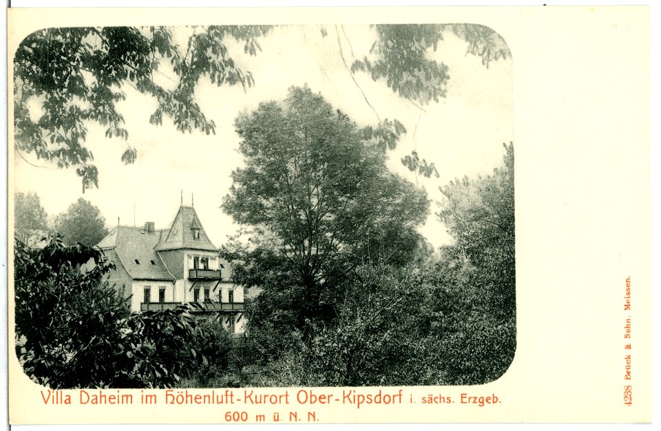04238-Kipsdorf-1903-Oberkipsdorf - Villa Daheim-Brück & Sohn Kunstverlag