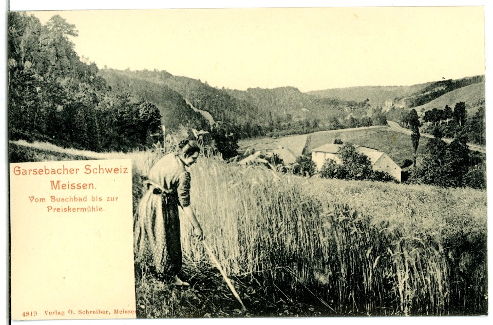 04819-Garsebach-1903-Garsebacher Schweiz-Brück & Sohn Kunstverlag