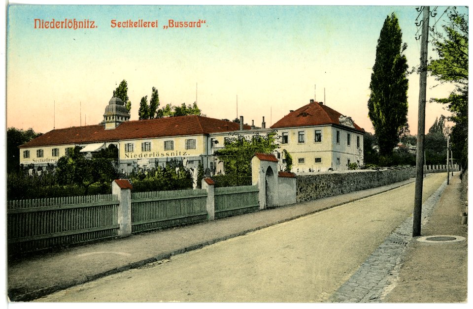 04875-Niederlößnitz-1903-Sektkellerei Bussard-Brück & Sohn Kunstverlag