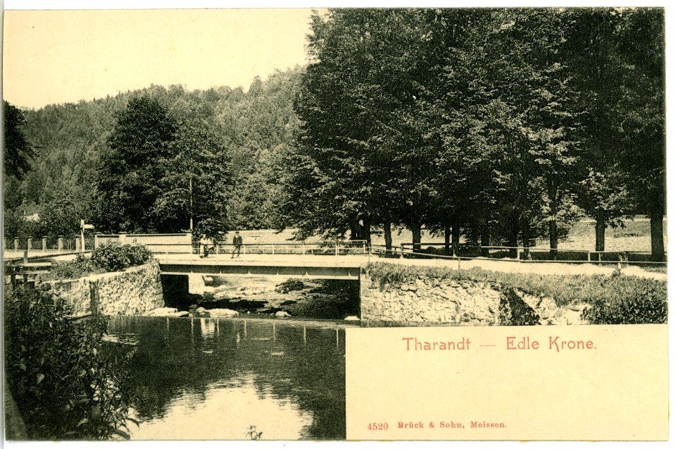04520-Tharandt-1903-Edle Krone-Brück & Sohn Kunstverlag