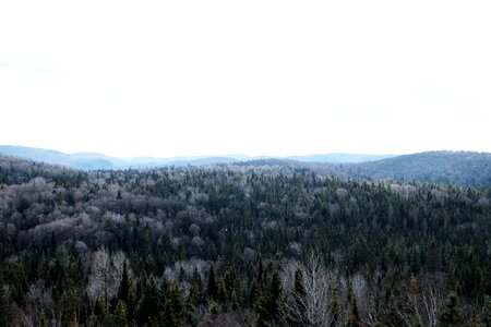 Landscape nature mountains photo