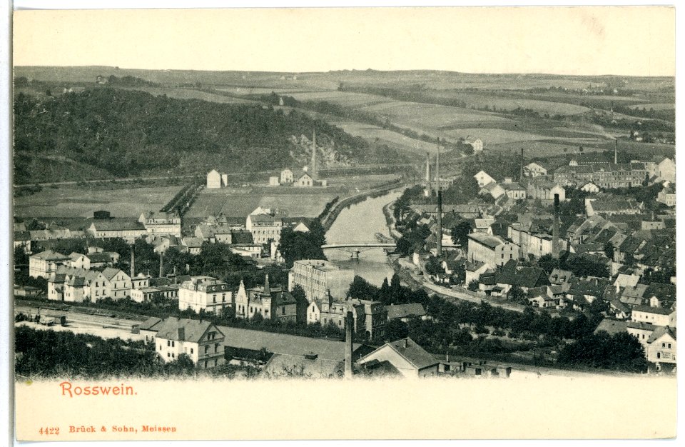 04422-Roßwein-1903-Blick auf den Ort-Brück & Sohn Kunstverlag
