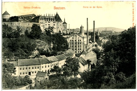 04137-Bautzen-1903-an der Spree, Schloß Ortenburg-Brück & Sohn Kunstverlag