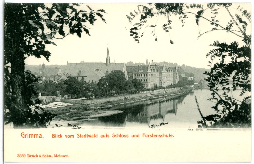 03689-Grimma-1903-Blick vom Stadtwald aufs Schloß und Fürstenschule-Brück & Sohn Kunstverlag
